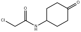 2-Chloro-N-(4-oxo-cyclohexyl)-acetaMide 구조식 이미지