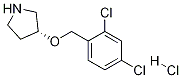 (R)-3-(2,4-Dichloro-benzyloxy)-pyrrolidine hydrochloride Structure