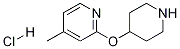 4-Methyl-2-(piperidin-4-yloxy)-pyridine hydrochloride 구조식 이미지