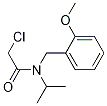 2-Chloro-N-isopropyl-N-(2-Methoxy-benzyl)-acetaMide Structure