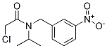 2-Chloro-N-isopropyl-N-(3-nitro-benzyl)-acetaMide Structure