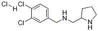 (3,4-Dichloro-benzyl)-pyrrolidin-2-ylmethyl-amine hydrochloride Structure