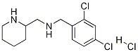 (2,4-Dichloro-benzyl)-piperidin-2-ylmethyl-amine hydrochloride 구조식 이미지