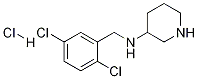 (2,5-Dichloro-benzyl)-piperidin-3-yl-amine hydrochloride 구조식 이미지