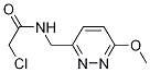 2-Chloro-N-(6-Methoxy-pyridazin-3-ylMethyl)-acetaMide 구조식 이미지