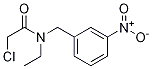 2-Chloro-N-ethyl-N-(3-nitro-benzyl)-acetaMide 구조식 이미지