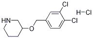 3-(3,4-Dichloro-benzyloxy)-piperidine hydrochloride 구조식 이미지