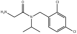 2-AMino-N-(2,4-dichloro-benzyl)-N-isopropyl-acetaMide Structure