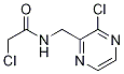 2-Chloro-N-(3-chloro-pyrazin-2-ylMethyl)-acetaMide 구조식 이미지