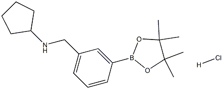 N-(3-(4,4,5,5-Tetramethyl-1,3,2-dioxaborolan-2-yl)benzyl)cyclopentanamine hydrochloride 구조식 이미지