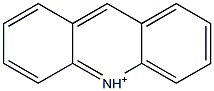 Acridinium Desalting Column 구조식 이미지