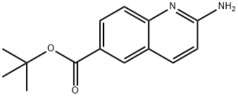 2-AMino-quinoline-6-carboxylic acid tert-butyl ester Structure