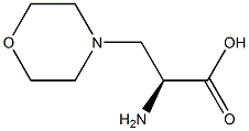 (S)-2-aMino-3-Morpholinopropanoic acid Structure