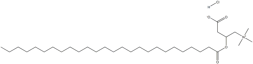 L-carnitine:HCl, O-hexacosanoyl Structure