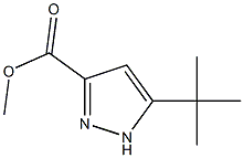 Methyl 5-tert-butyl-1H-pyrazole-3-carboxylate 구조식 이미지