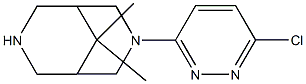 3-(6-chloropyridazin-3-yl)-9,9-diMethyl-3,7-diazabicyclo[3.3.1]nonane 구조식 이미지