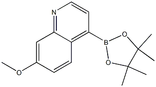7-Methoxy-4-(4,4,5,5-tetraMethyl-1,3,2-dioxaborolan-2-yl)quinoline Structure