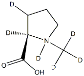 N-Methyl-d3-D-proline-d3 구조식 이미지