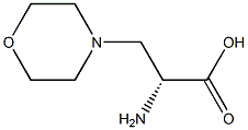 (R)-2-aMino-3-Morpholinopropanoic acid 구조식 이미지