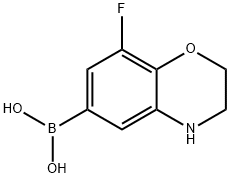 8-Fluoro-2,3-dihydro-1,4-benzoxazine-6-boronic acid 구조식 이미지