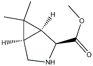 (1S,2S,5R)-Methyl 6,6-diMethyl-3-azabicyclo[3.1.0]hexane-2-carboxylate 구조식 이미지