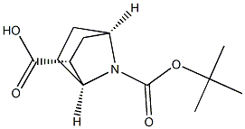 (1S,2R,4R)-7-(tert-butoxycarbonyl)-7-azabicyclo[2.2.1]heptane-2-carboxylic acid 구조식 이미지