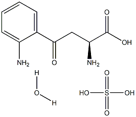 L-Kynurenine Sulfate:H2O Structure