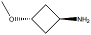 trans-3-MethoxycyclobutanaMine Structure