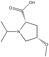 (2S,4S)-1-ISOPROPYL-4-METHOXY-PROLINE 구조식 이미지