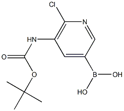 5-(t-Butoxycarbonylamino)-6-chloropyridine-3-boronic acid 구조식 이미지