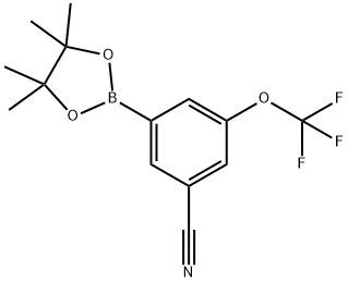 3-(Tetramethyl-1,3,2-dioxaborolan-2-yl)-5-(trifluoromethoxy)benzonitrile 구조식 이미지