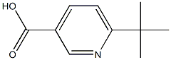 6-tert-butylpyridine-3-carboxylic acid 구조식 이미지