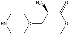  3-(1-Morpholinyl)-D-alanine Methyl ester