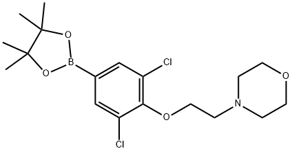 4-{2-[2,6-Dichloro-4-(tetramethyl-1,3,2-dioxaborolan-2-yl)phenoxy]ethyl}morpholine 구조식 이미지