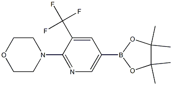 4-(5-(4,4,5,5-tetraMethyl-1,3,2-dioxaborolan-2-yl)-3-(trifluoroMethyl)pyridin-2-yl)Morpholine Structure