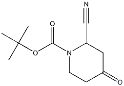 tert-butyl 2-cyano-4-oxopiperidine-1-carboxylate 구조식 이미지