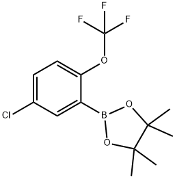 2-(5-Chloro-2-(trifluoromethoxy)phenyl)-4,4,5,5-tetramethyl-1,3,2-dioxaborolane 구조식 이미지