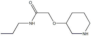 2-(3-PIPERIDINYLOXY)-N-PROPYLACETAMIDE Structure