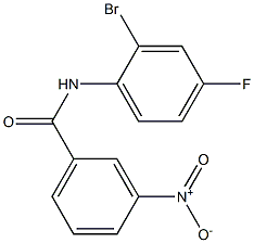 N-(2-bromo-4-fluorophenyl)-3-nitrobenzamide 구조식 이미지