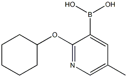 2-Cyclohexyloxy-5-methylpyridine-3-boronic acid Structure