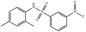 N-(2,4-DiMethylphenyl)-3-nitrobenzenesulfonaMide, 97% Structure