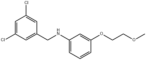 N-(3,5-Dichlorobenzyl)-3-(2-methoxyethoxy)aniline 구조식 이미지