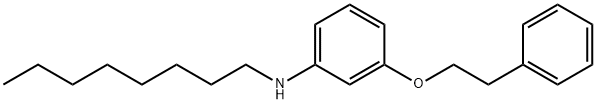 N-Octyl-3-(phenethyloxy)aniline Structure