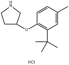 3-[2-(tert-Butyl)-4-methylphenoxy]pyrrolidinehydrochloride 구조식 이미지