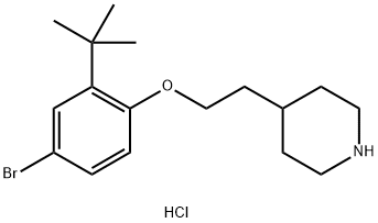 4-{2-[4-Bromo-2-(tert-butyl)phenoxy]-ethyl}piperidine hydrochloride 구조식 이미지