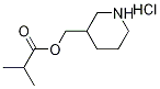 3-Piperidinylmethyl 2-methylpropanoatehydrochloride Structure