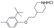4-{2-[2-(tert-Butyl)-4-methylphenoxy]-ethyl}piperidine hydrochloride 구조식 이미지