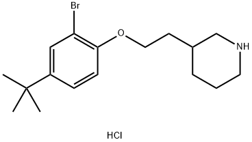 3-{2-[2-Bromo-4-(tert-butyl)phenoxy]-ethyl}piperidine hydrochloride Structure