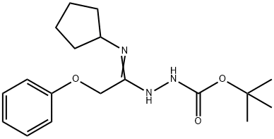 N'-[1-Cyclopentylamino-2-phenoxyethylidene]-hydrazinecarboxylic acid tert-butyl ester 구조식 이미지
