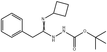 N'-[1-Cyclobutylamino-2-phenylethylidene]-hydrazinecarboxylic acid tert-butyl ester 구조식 이미지